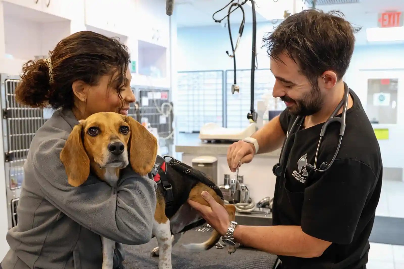 um exame neurológico sendo realizado porque o cão não consegue pular na cama de repente