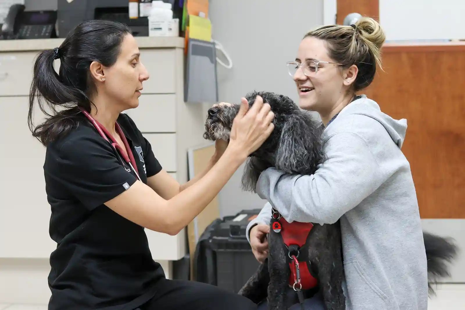 El Dr. Senneca realizando un examen neurológico para detectar posibles tumores cerebrales en perros