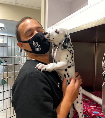 Dr. Wong and Dalmatian Puppy