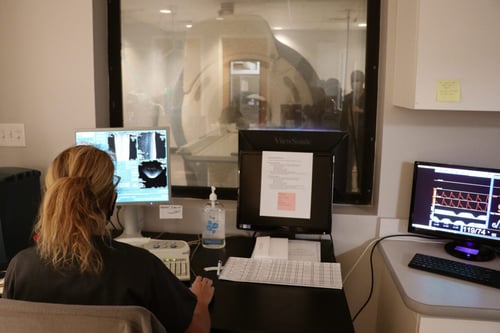 Specialist at SEVN looking at an MRI of a dog