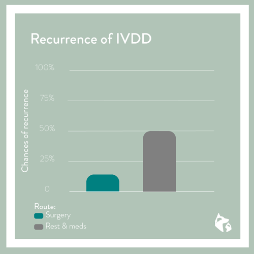 IVDD Chance Of Recurrence