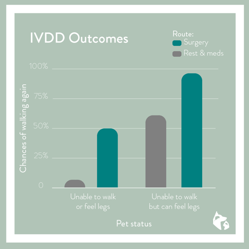 IVDD Graph