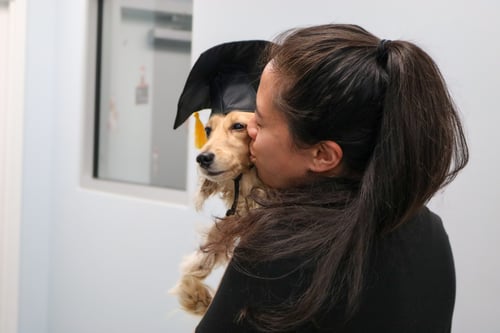 dog with vet neurologist
