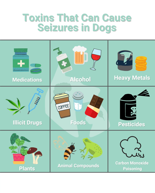 toxins that can cause seizures in dogs