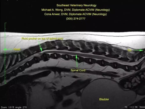 Wellington-MRI