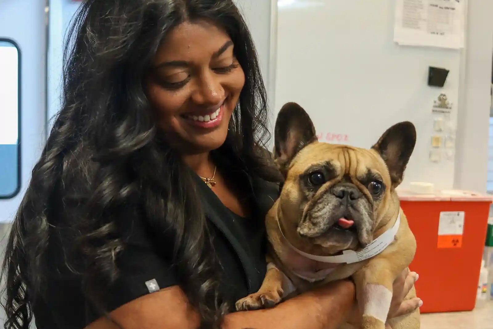 SEVN veterinary neurologist, Dr. Sanil holding a senior dog. Dog dementia is common in seniors.