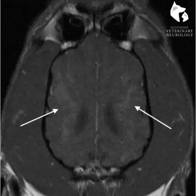 reilly-mri-square