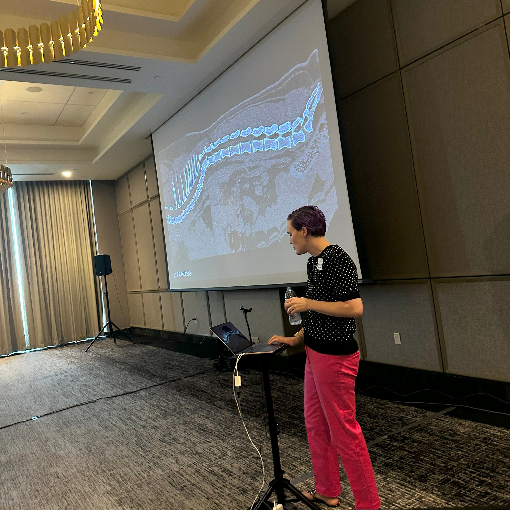 SEVN veterinary neurologist speaks at neurology conference in South Florida.
