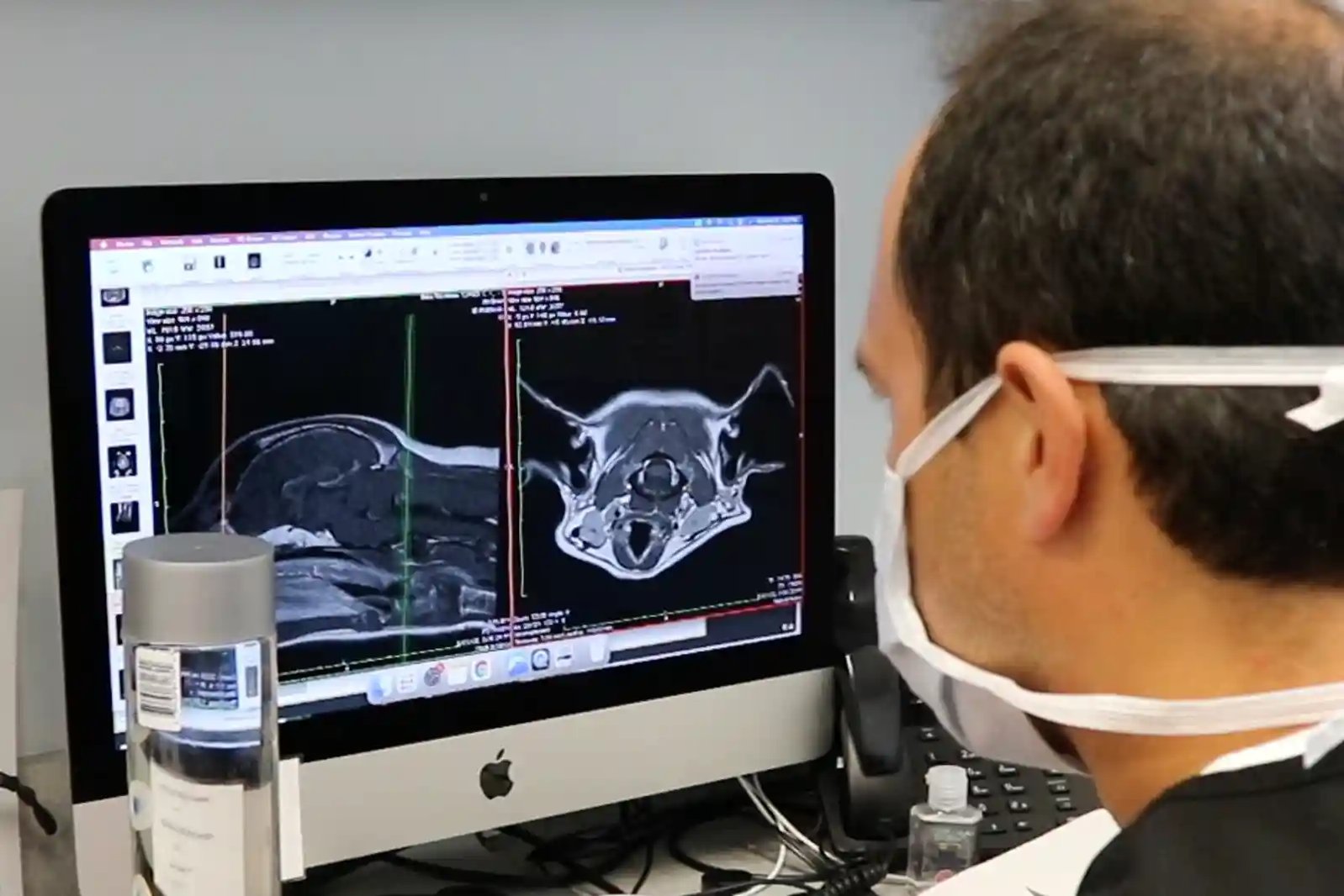 SEVN veterinary neurologist Dr. Wong reviews a patient's MRI when diagnosing masticatory muscle myositis in dogs.