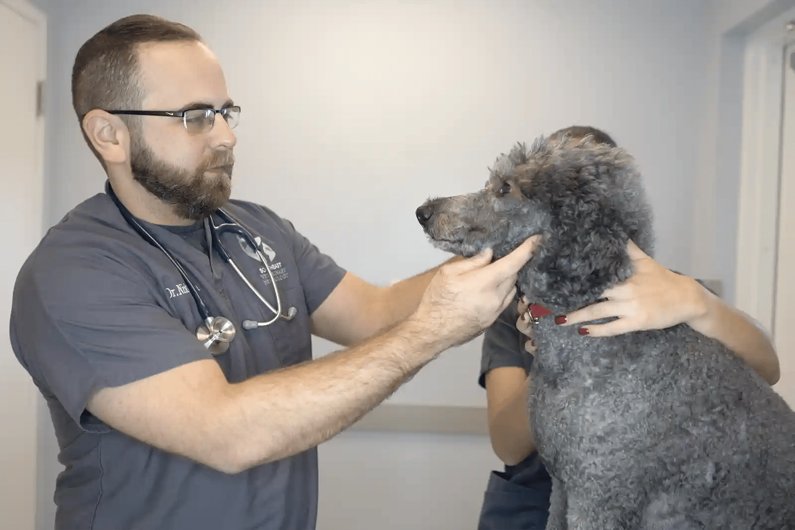 SEVN veterinary neurologist Dr. DePompa examines a patient presenting for behavior changes in dogs.