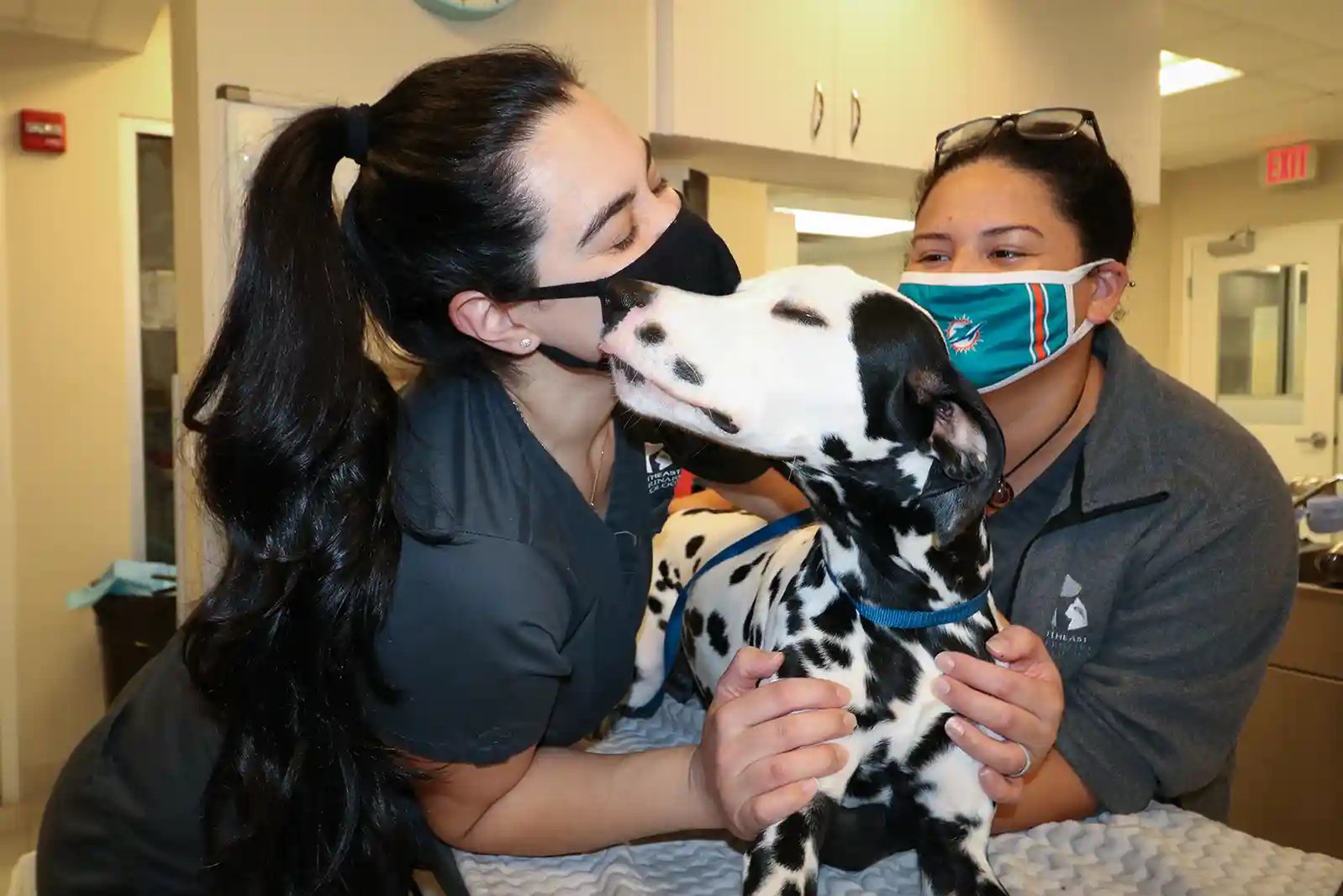 SEVN veterinary technicians care for a patient in need of a dog MRI