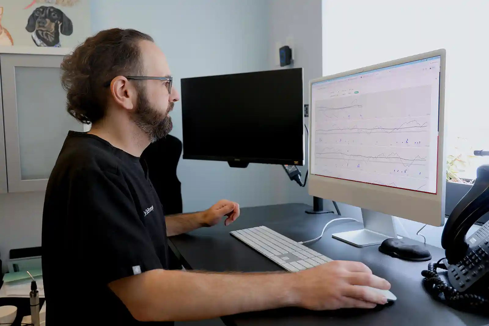 SEVN veterinary neurologist using the Milo VNS clinician portal to manage treatment for patients whose seizures are not adequately controlled with dog seizure medication.