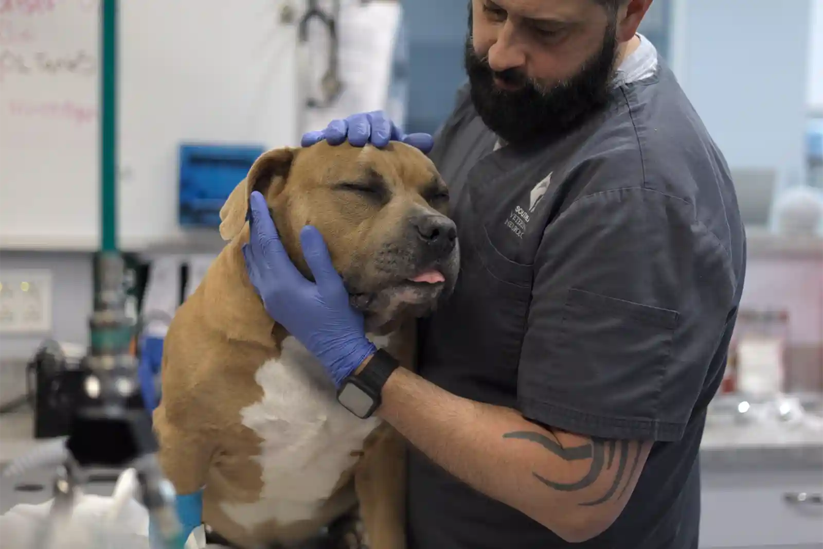 Patient recovering after VNS implantation, an outpatient procedure offering a new treatment option when dog seizure medication isn't enough.