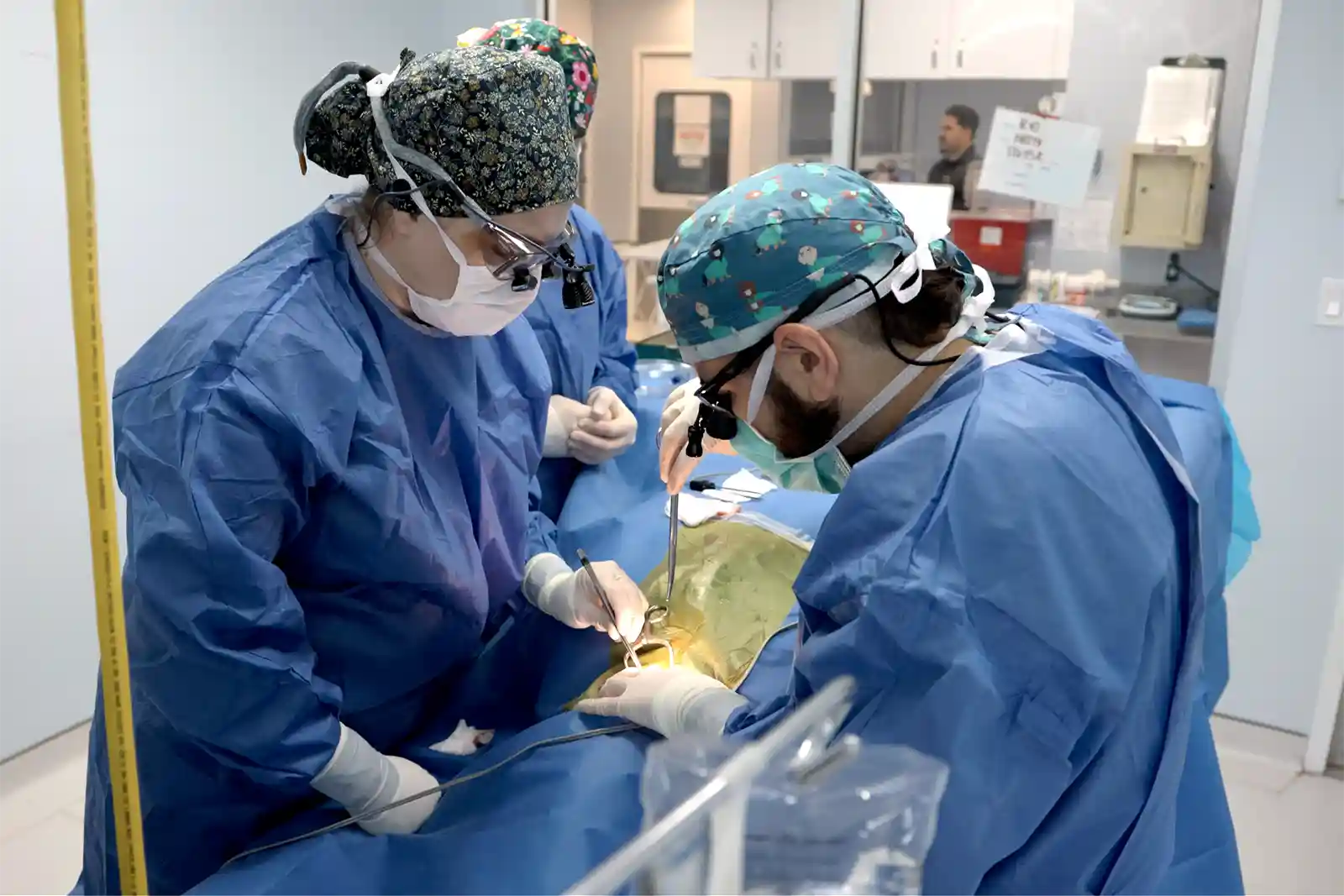 SEVN veterinary neurologists performing VNS implantation surgery, offering a new treatment option for patients with drug-resistant epilepsy when dog seizure medication isn't enough.