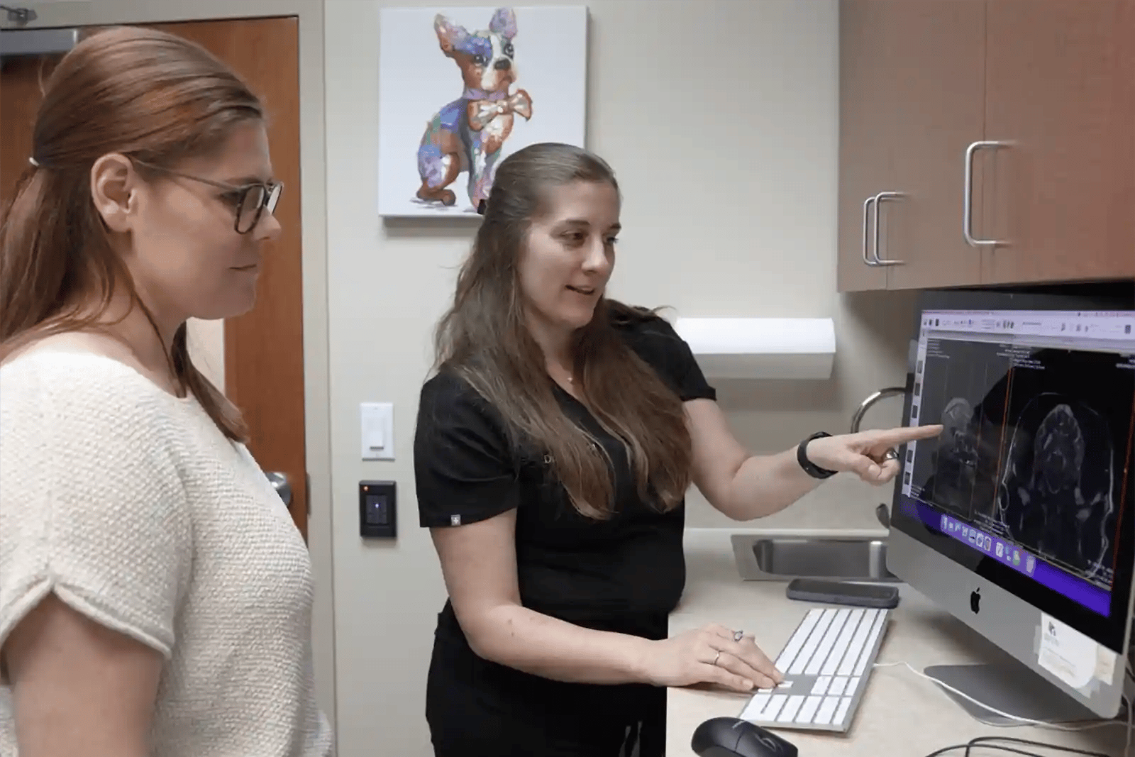 A neurologist explains different types of IVDD to a pet owner