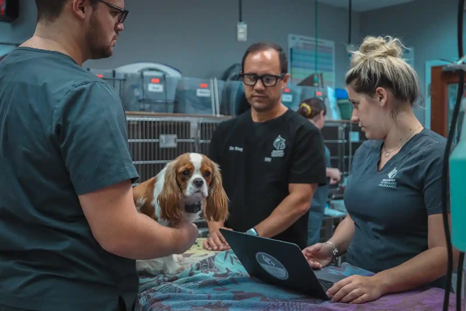 SEVN neurologist and dog MRI team discuss a patient