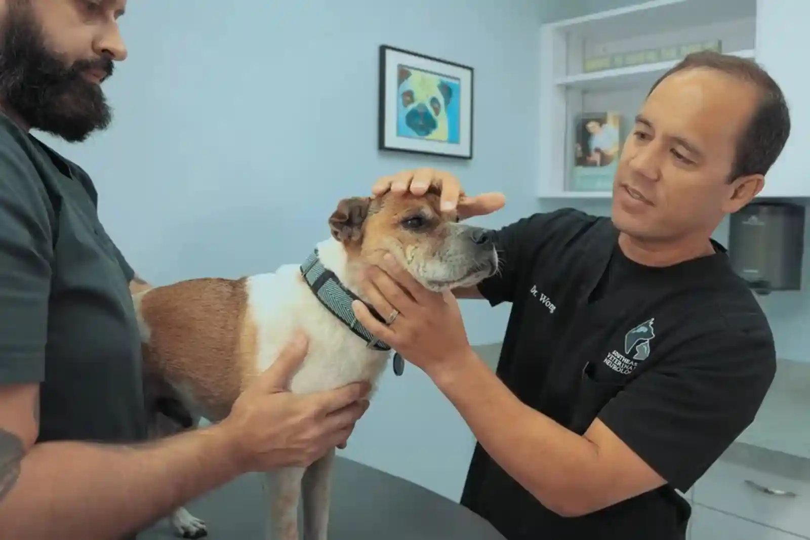 A SEVN neurologist examines a patient before a dog MRI.