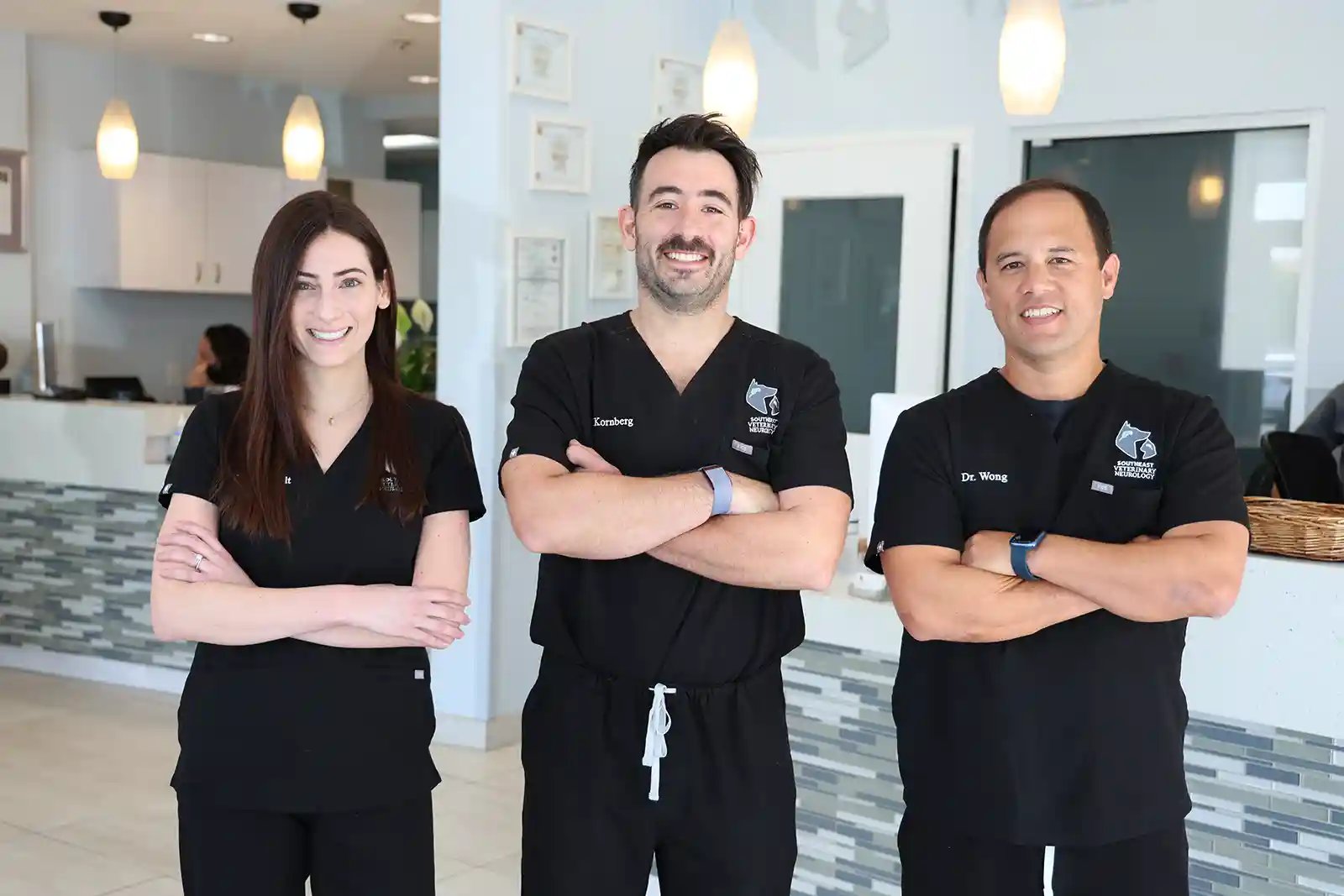 Neurologists at SEVN Miami specializing in dog MRI