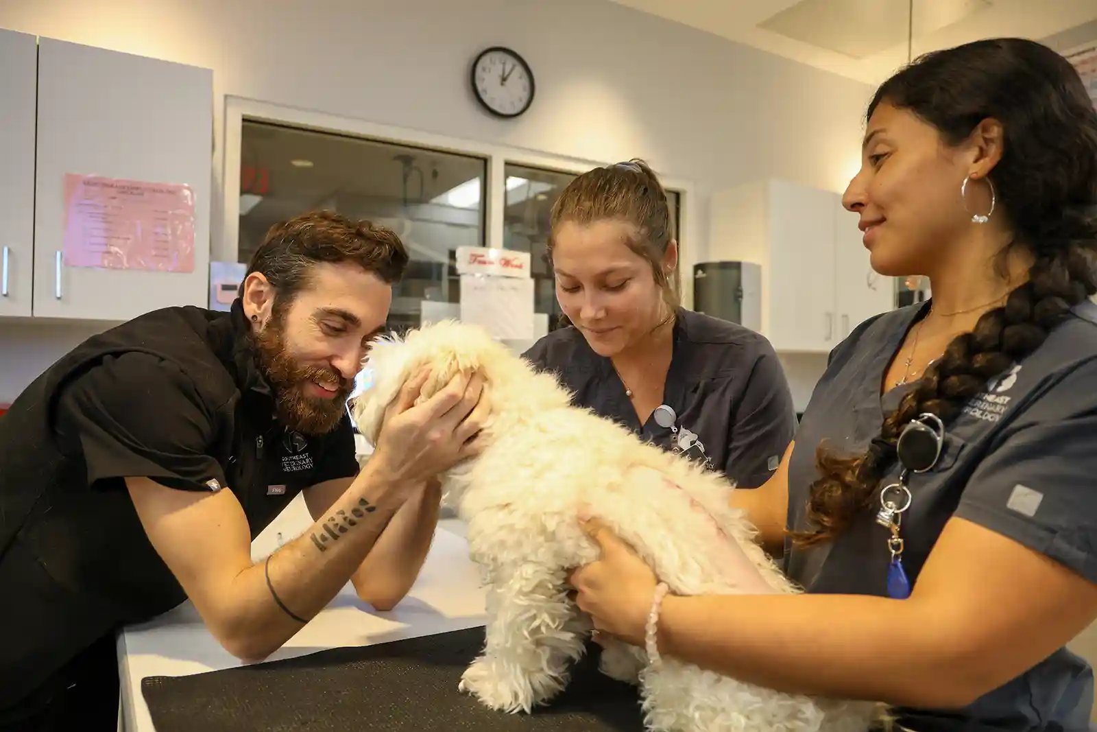 A SEVN veterinarian loves on a patient with neurological symptoms in dogs.