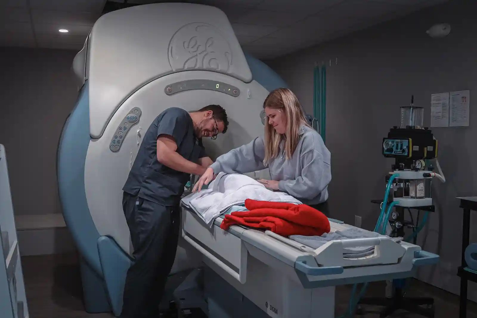 SEVN veterinary nurses prep a patient for pet MRI