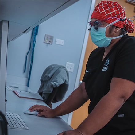 A pet neurologist diagnoses neurological conditions we treat at SEVN