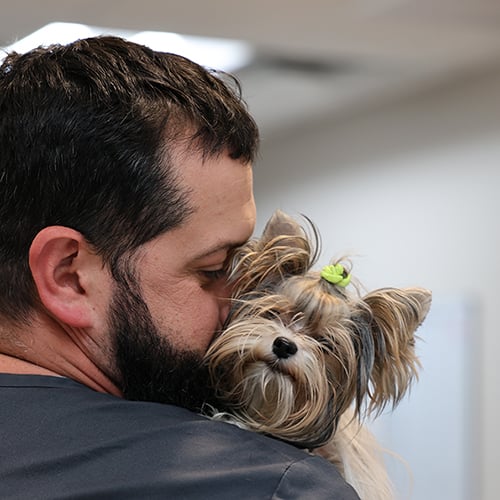 A veterinary technician cares for a patient dog with neurological disease at SEVN