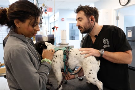 A veterinary neurologist makes himself available when a patient dog needs him