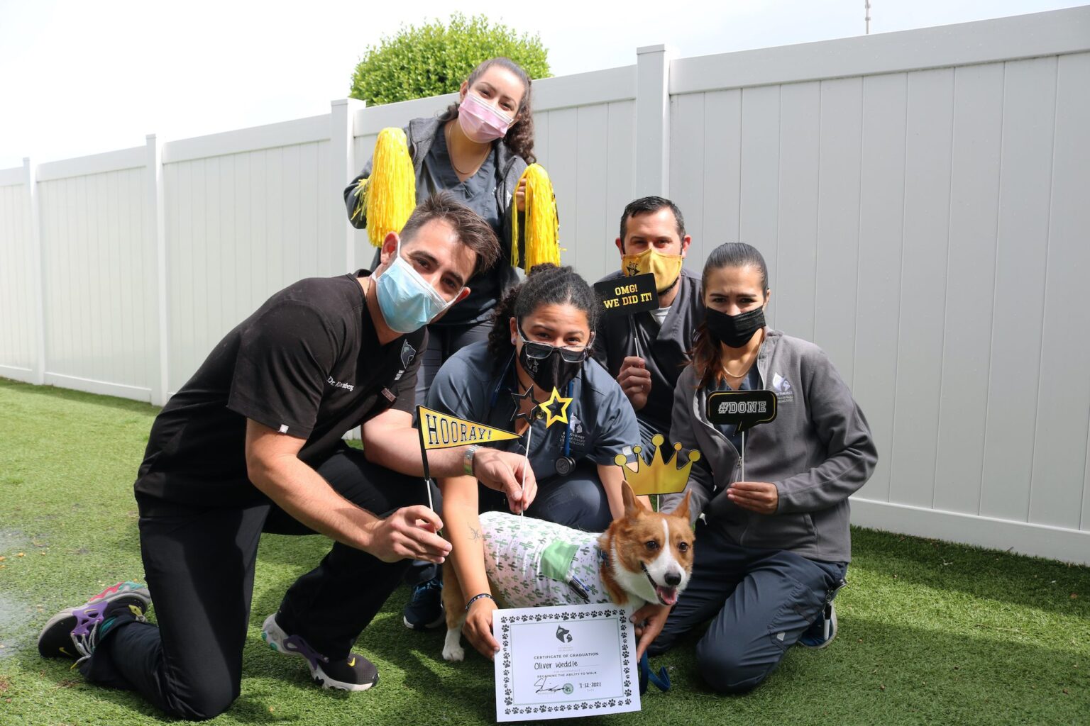 How Much Does IVDD Surgery Cost for Dogs? Southeast Veterinary Neurology