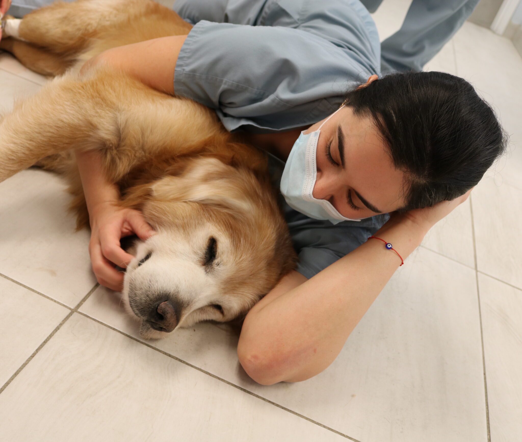 Myasthenia Gravis in Dogs: What It Is and How SEVN Can Help