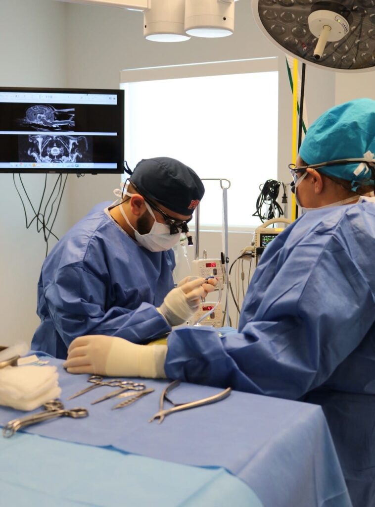 Phantom Scratching: Why Is Your Dog Constantly Scratching? | Southeast